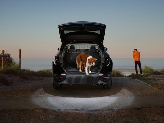 Охоронець собаки | Хюндай Мотор Україна - фото 10