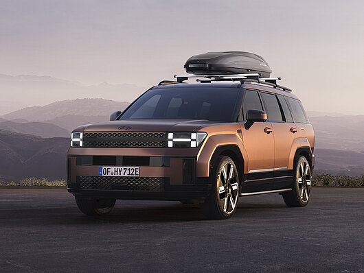 Бічні лінії оздоблення, матова хромована оптика | Хюндай Мотор Україна - фото 14