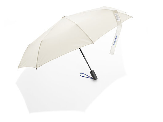 Сувенірна продукція | Хюндай Мотор Україна - фото 32